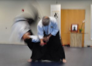 Aikido throw